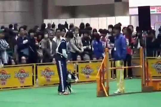 Dog Agility (JKC CUP 2009/4/5 Jumping Large vol.2)