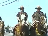 Macomb Sheriff Reserve Mounted Division