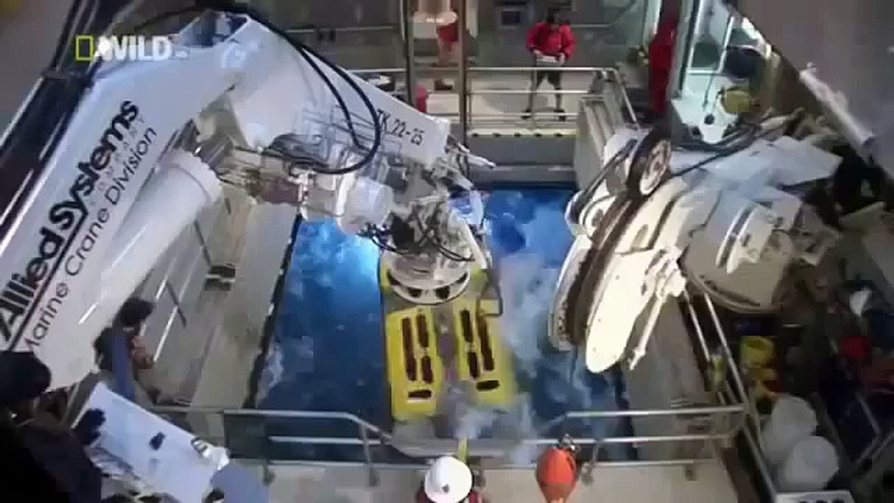 THE DEEP OCEAN   Animals Wildlife Nature Documentary