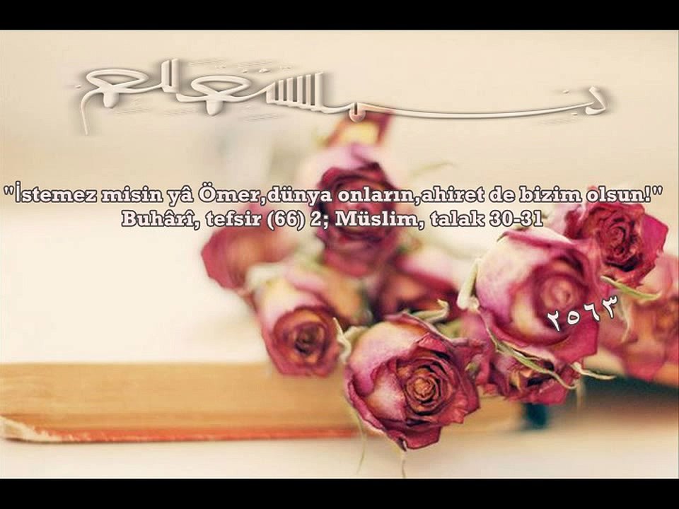 Alper / Efendim (sav) - 2563 (Menzil Durak)