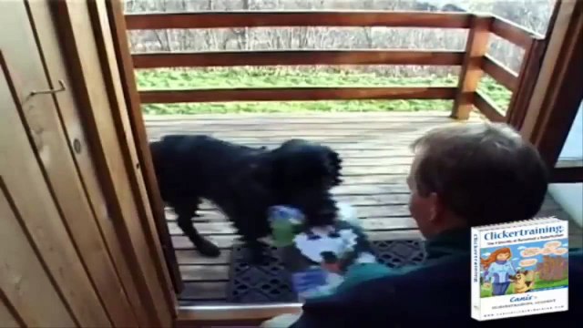 Basic Clicker Training For Dogs-Teach your dog 8 fun tricks using clicker training