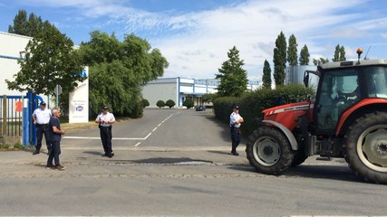 Les agriculteurs déversent de la paille à la laiterie Malo