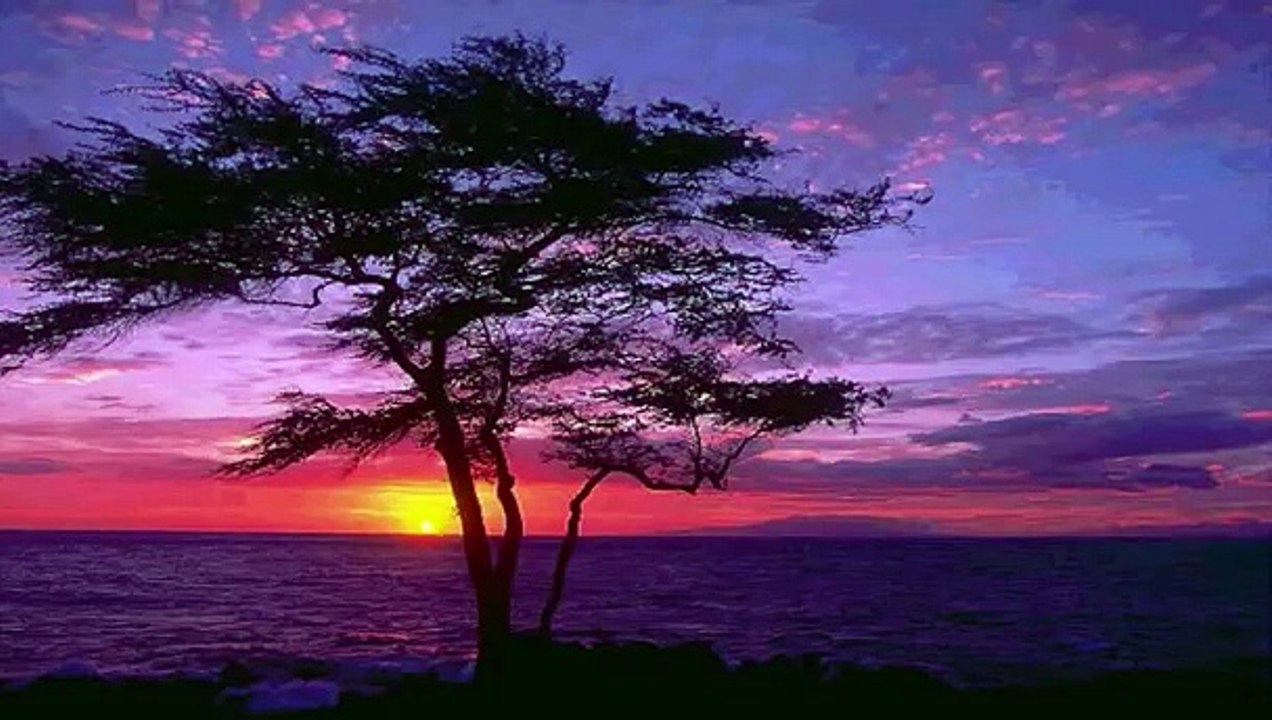 leiley transglobal underground remix arabia chilled arabic trance