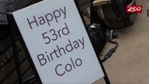 COLUMBUS ZOO CELEBRATES COLOS 53rd BIRTHDAY