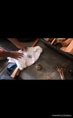 HOW TO FIND GOLD IN QUARTZ