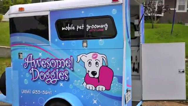 Dog Grooming Makeover Awesome Doggies Video Dailymotion