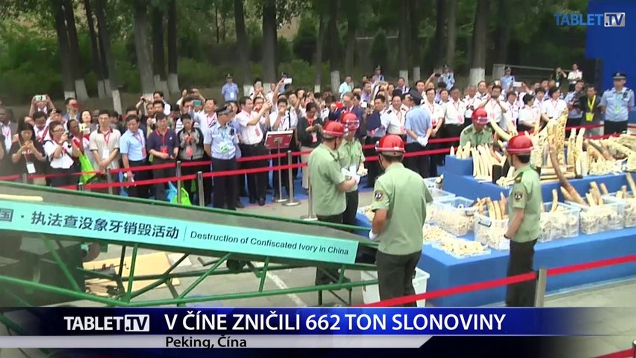 Čínske úrady zničili 662 ton slonoviny