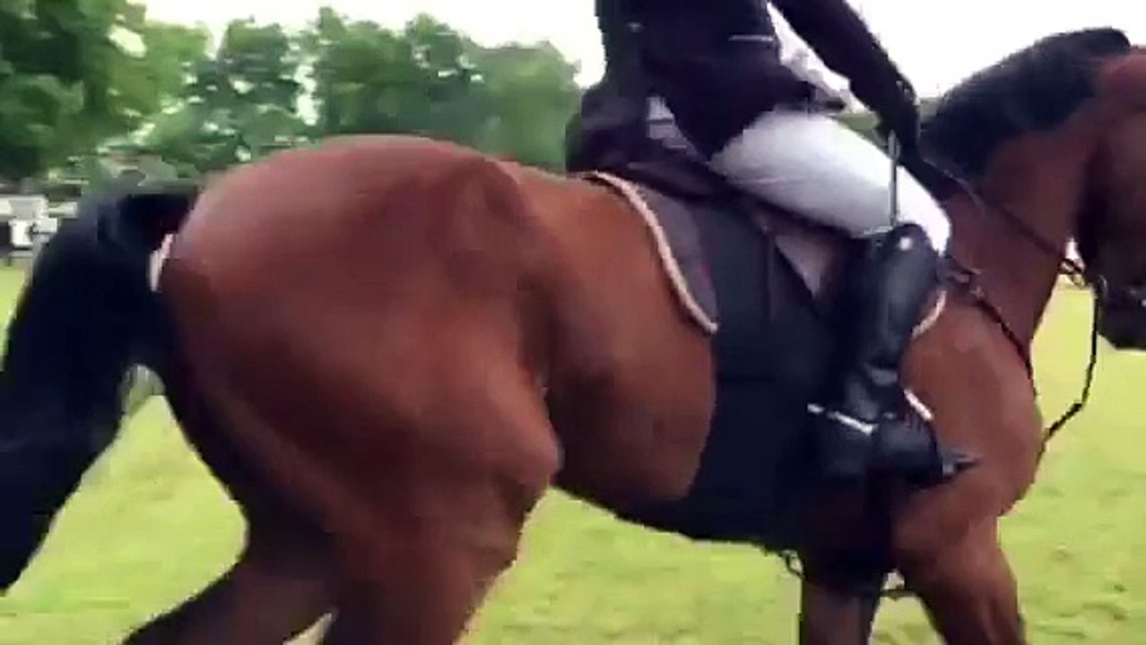 Ottimo Z open wedstrijd Heusden