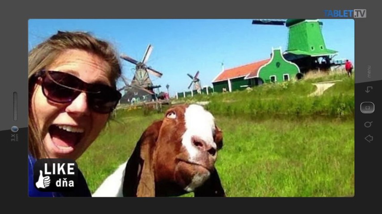 LIKE DŇA: Zvieratá vraj neobľubujú selfie