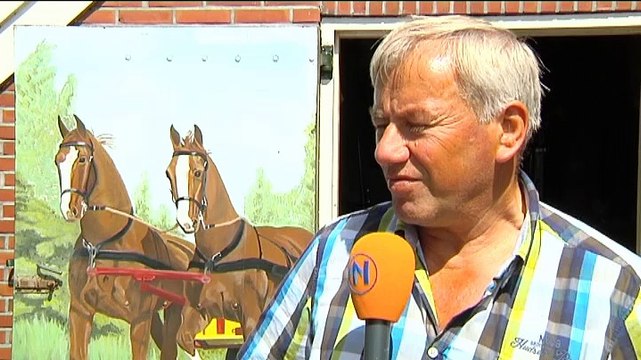 Voor mennen met ponys moet je een beetje gek zijn - RTV Noord