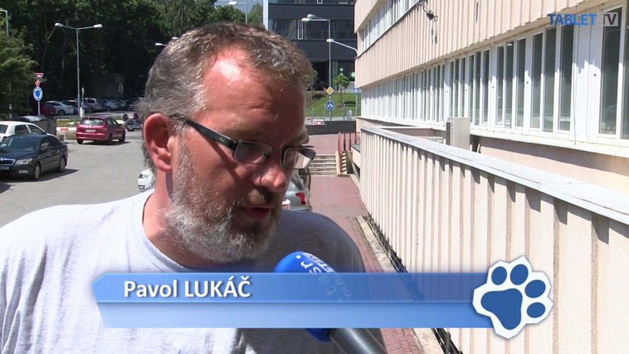Podarí sa zachrániť mačky na Patrónke? Demolácia budovy sa blíži