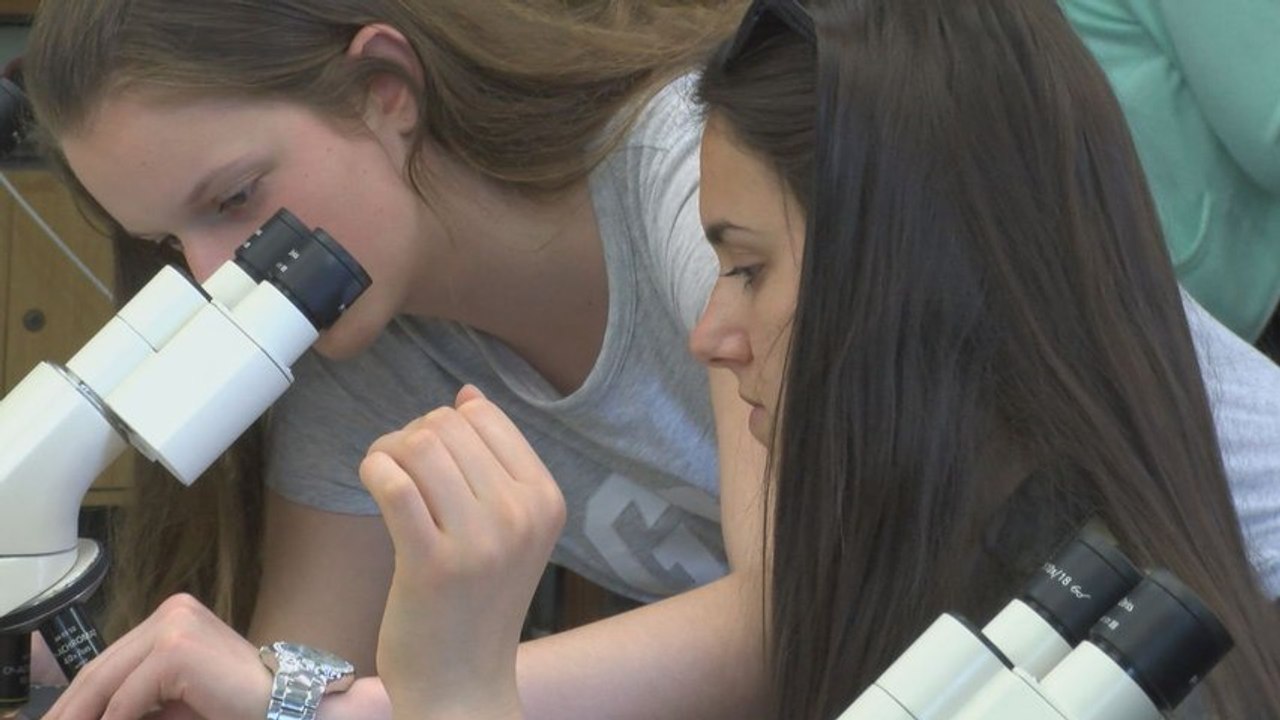 Svet rastlinnej ríše má svoj deň