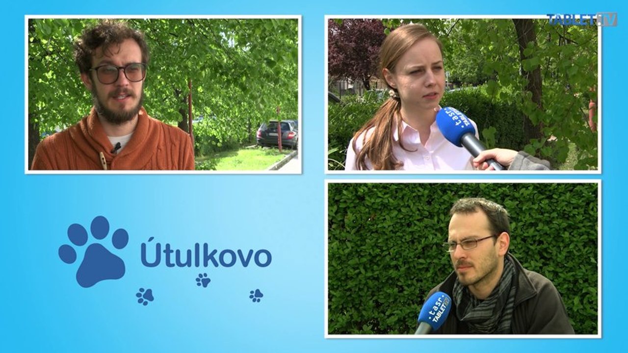 Novým spolubývajúcim sa stal pes. Ako ho prijali?