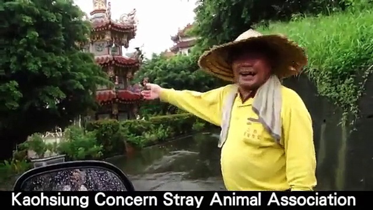 失蹤的忠犬NONO回家了.mpg