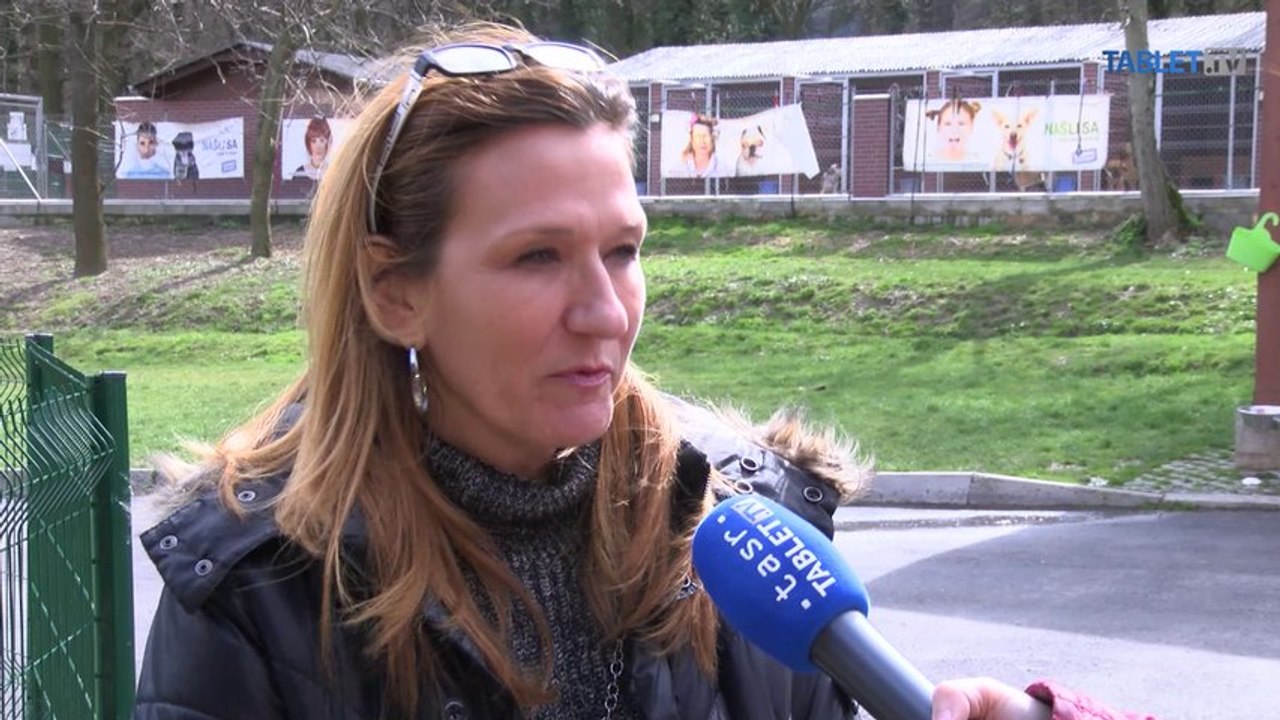 Koza dostávala od strachu kŕče a padala na zem
