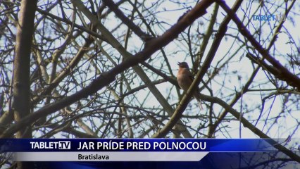 JAR PRIDE PRED POLNOCOU 20.3.2015