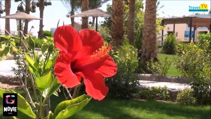 Hotel Movie Gate Hurghada Czesc I Part I Teil I TRAVEL TV