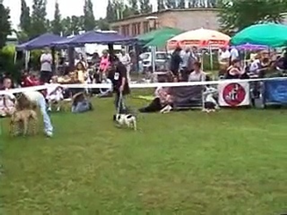 Chien-Iache Kennel