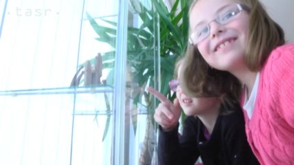 =tasr=NITRA_BETLEHEMY_VYSTAVA 11.12.2014.mp4