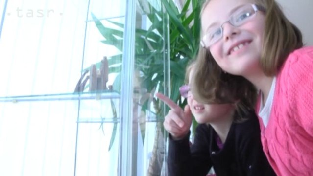 =tasr=NITRA_BETLEHEMY_VYSTAVA 11.12.2014.mp4