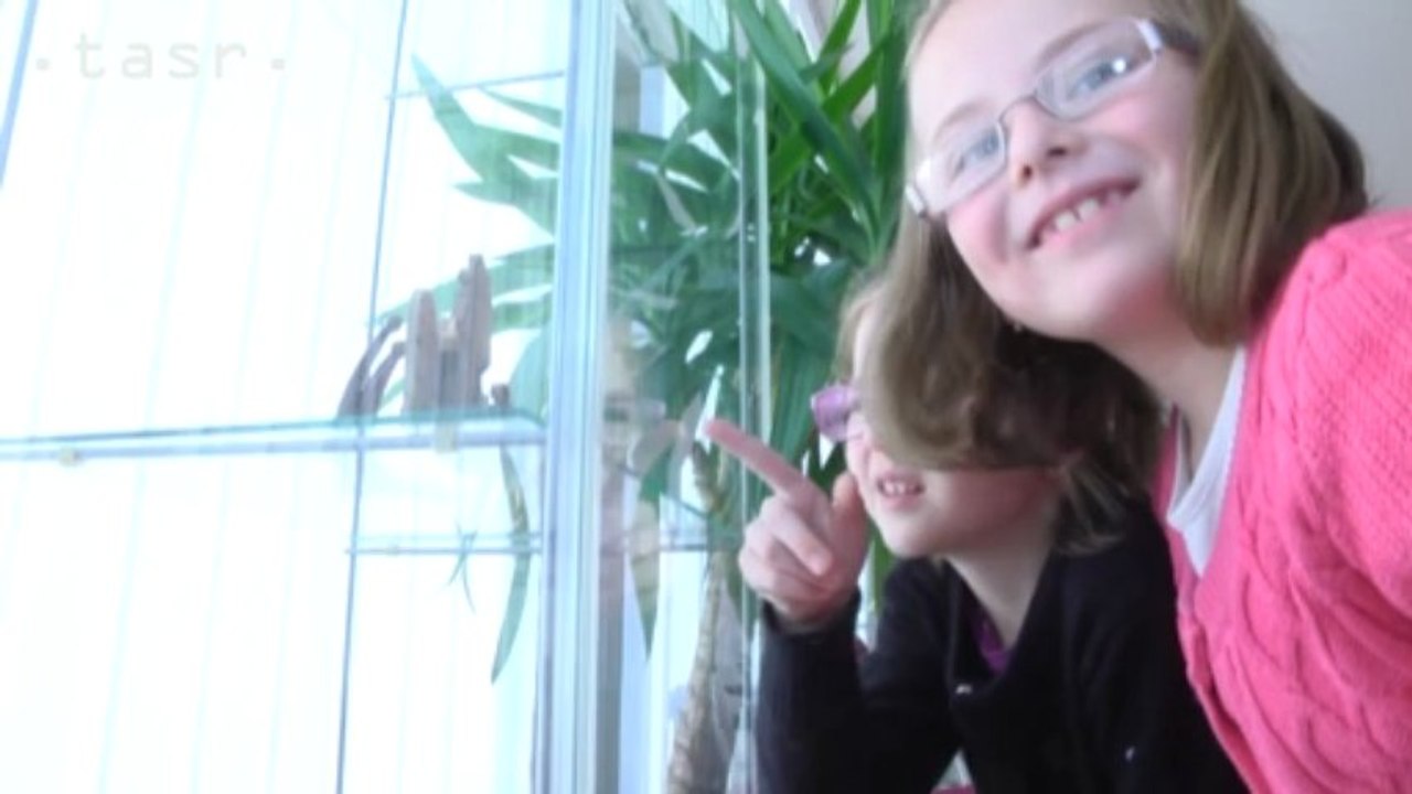 Inšpirujte sa vo výrobe betlehemov 