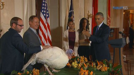 OSLAVY DNA VDAKYVZDANIA 27.11.2014