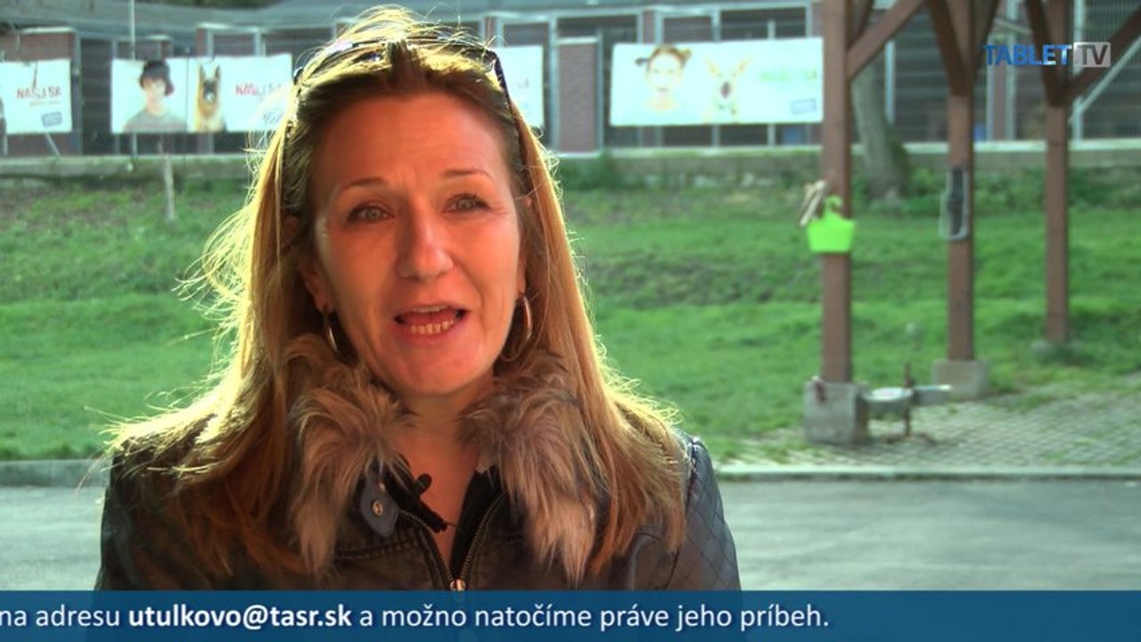 Ak máte doma psíka, nezanedbajte prípravu na zimu. Na čo by ste nemali zabudnúť?