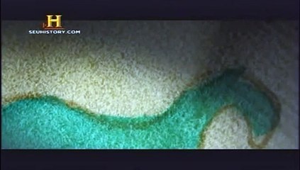 O Misterioso Código Voynich