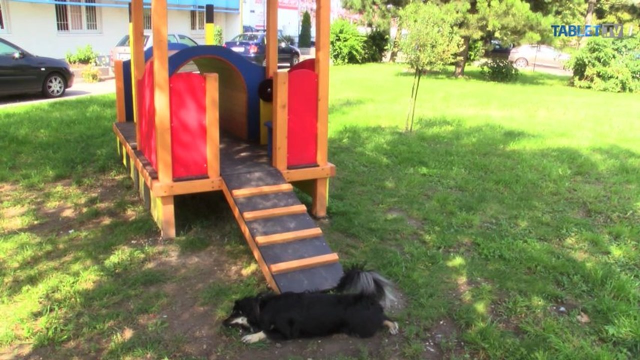 Otrávili jej psa, adoptovala si dva nové