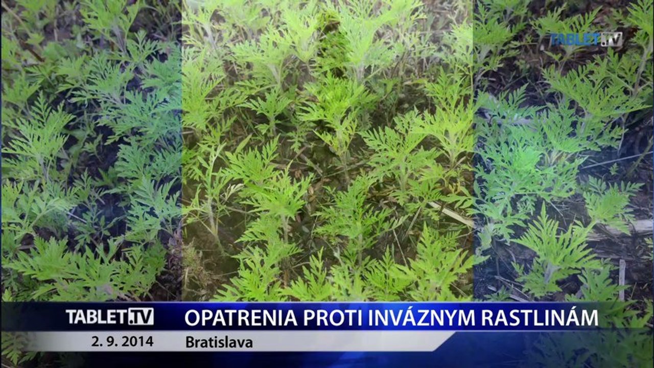 Poludňajšie správy