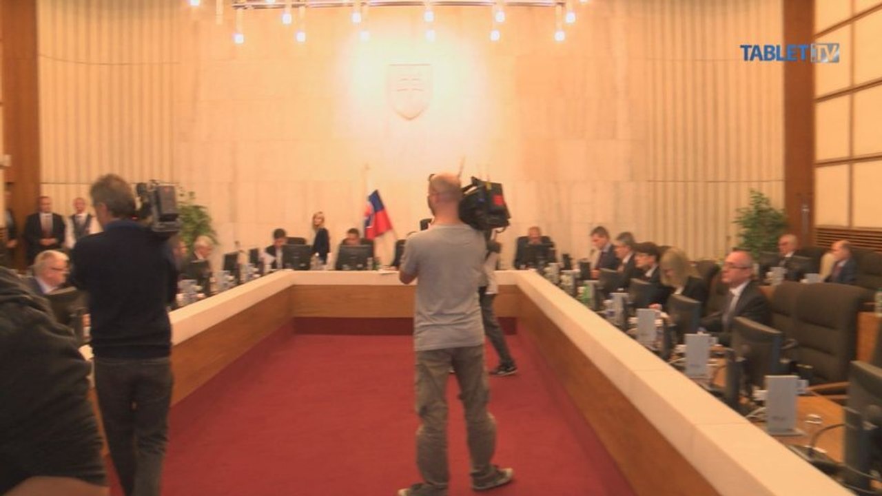 Vláda verzus elektrárne