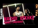 Pavneet Singh Birgi - Nachdi Vekh Ke | Teaser | 2013 | Daddy Mohan Records