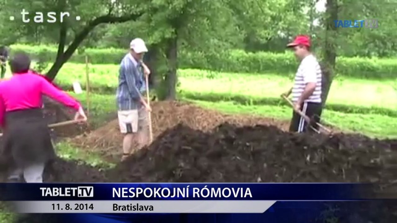 Rómovia pôjdu do ulíc, volajú po odvolaní P. Polláka