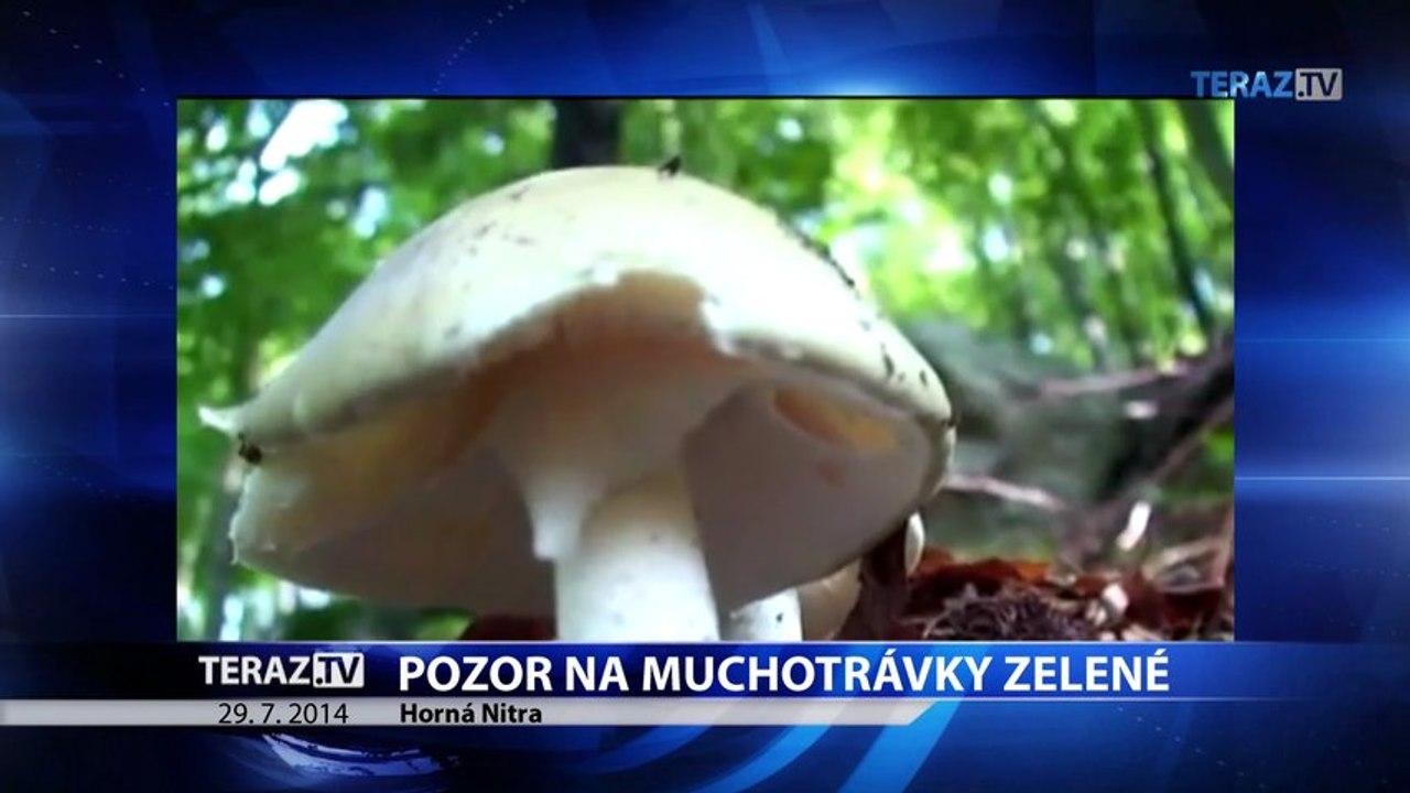Večerné správy
