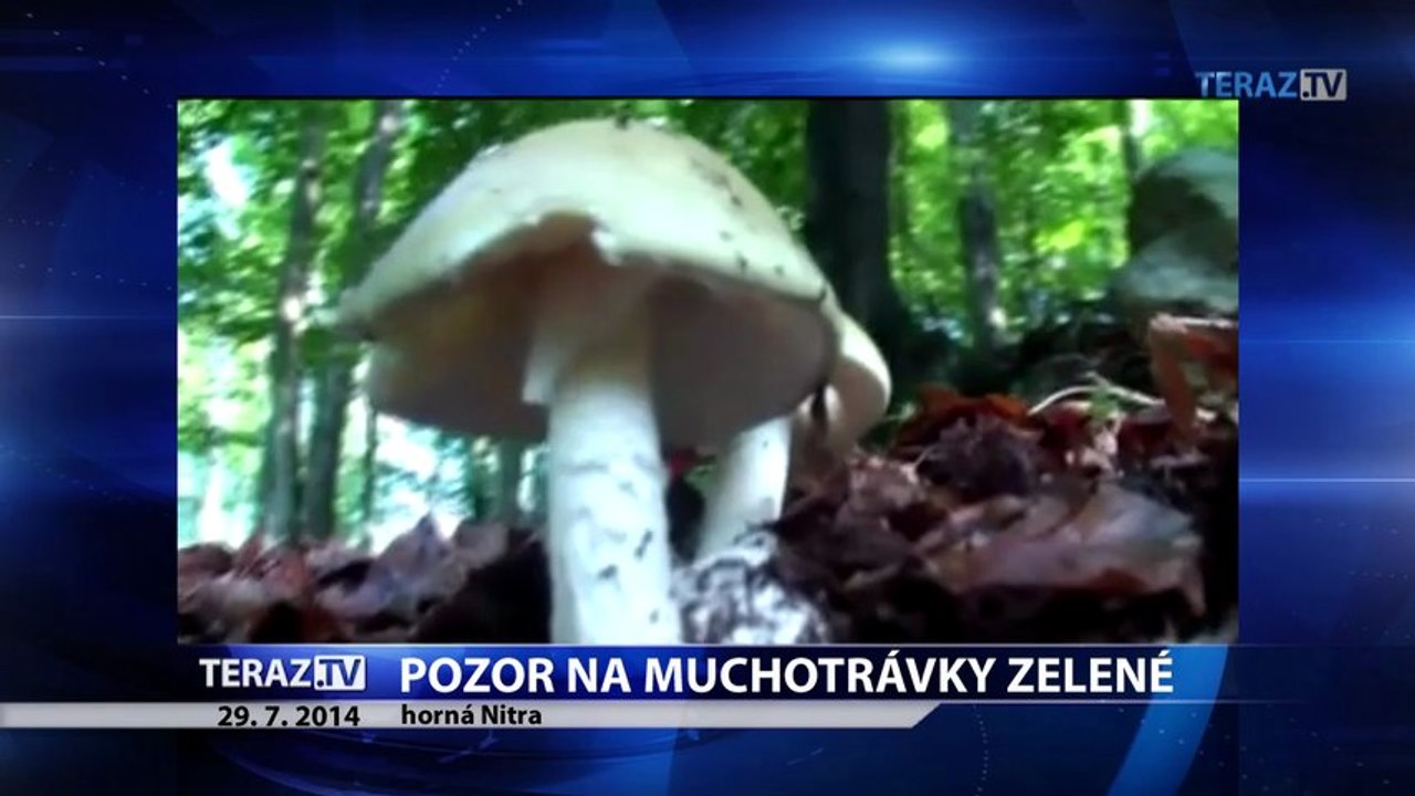Pozor na tieto lákavo vyzerajúce huby! Môžu vás zabiť