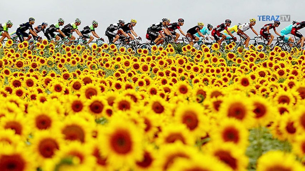 Best of the Tour de France
