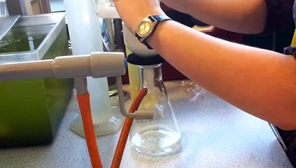 Karaborsa ilâçlar tehlike saçiyor