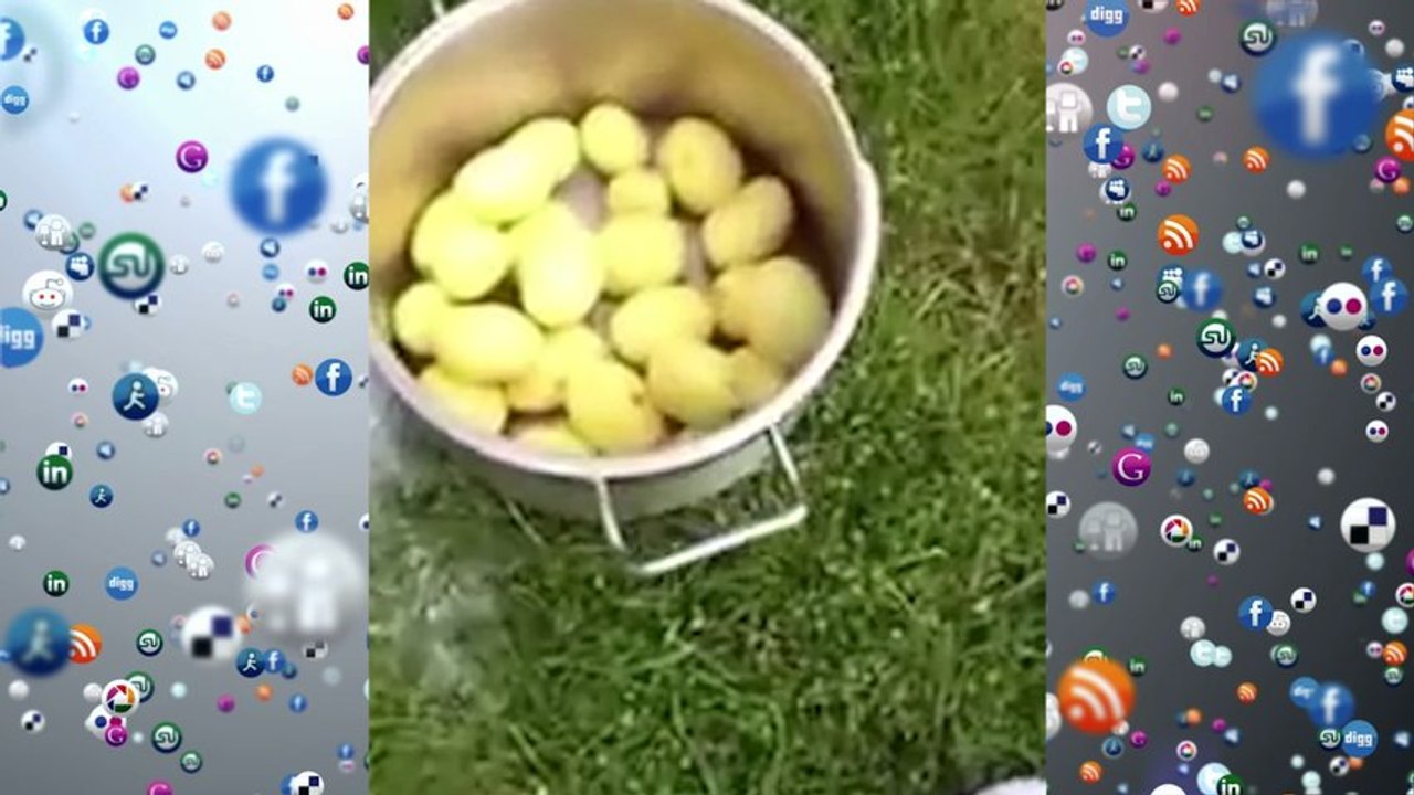 LIKE DŇA: Čistenie zemiakov WC kefou