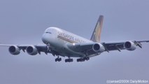 Airbus A380 Singapore Airlines Landing in Frankfurt Airport. Plane Spotting