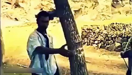 Malkoçoğlu #DontJudgeChallenge