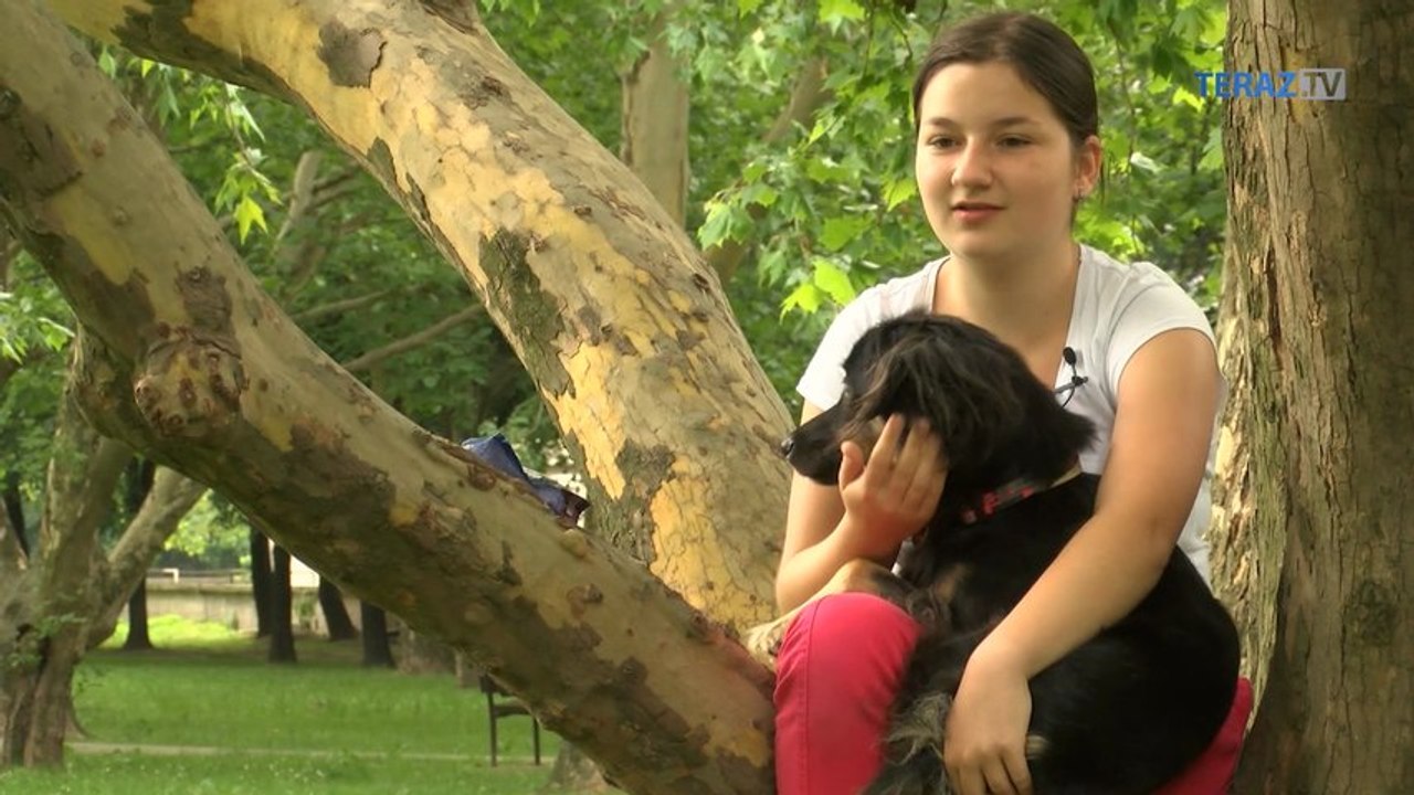 Máte 13 a chcete psa. Ako zlomiť mamu?