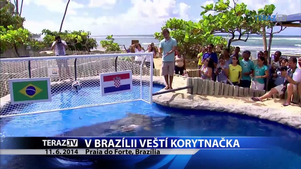 Korytnačka predpovedá víťazstvo Brazílie nad Chorvátskom