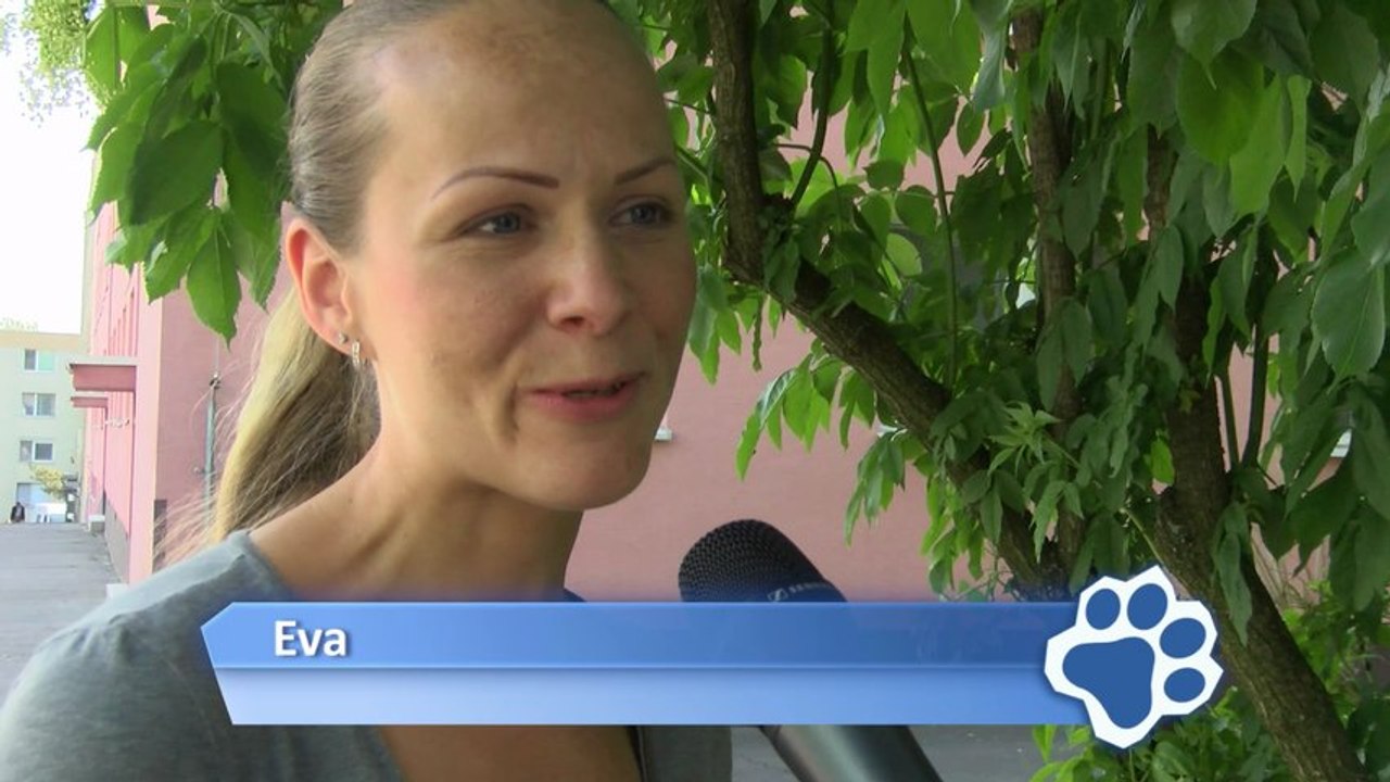 Psík počúva ozvy bábätka zo Stankinho bruška