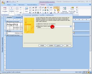 Access 2007 11 in italiano - Casella combinata per inserire i dati in una maschera