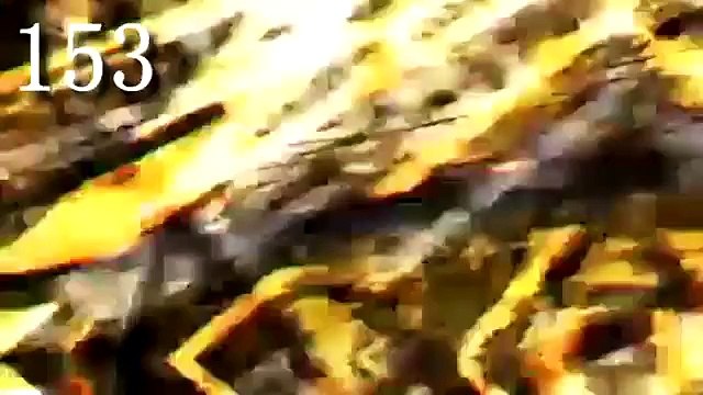 NEW ♥ 50 Sparkles/Overlays for Sony Vegas ♥ [Sparkles #143-193]