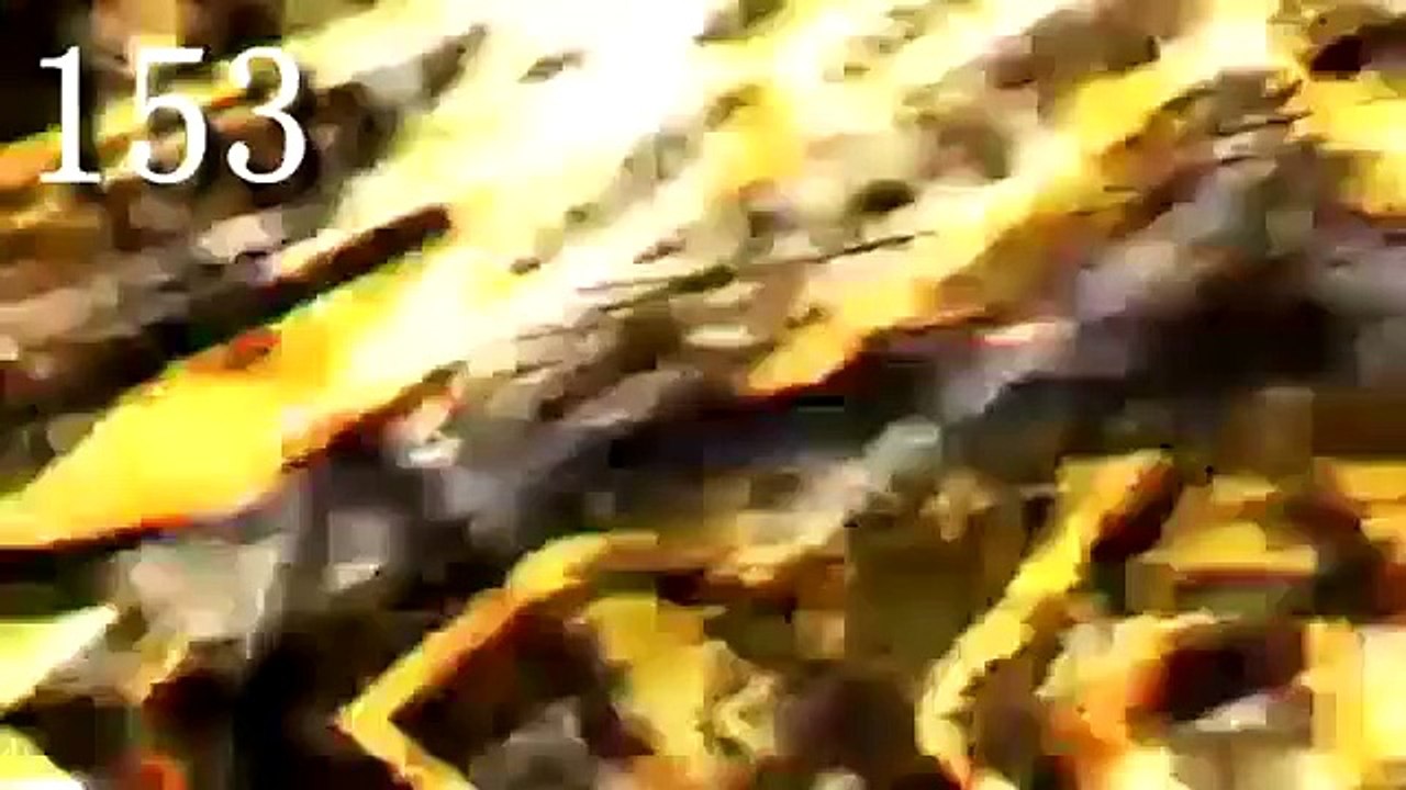 NEW ♥ 50 Sparkles/Overlays for Sony Vegas ♥ [Sparkles #143-193]