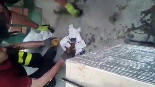 Bombeiro salva gatinho utilizando manobras de reanimação