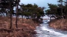東日本大震災 一宮の津波