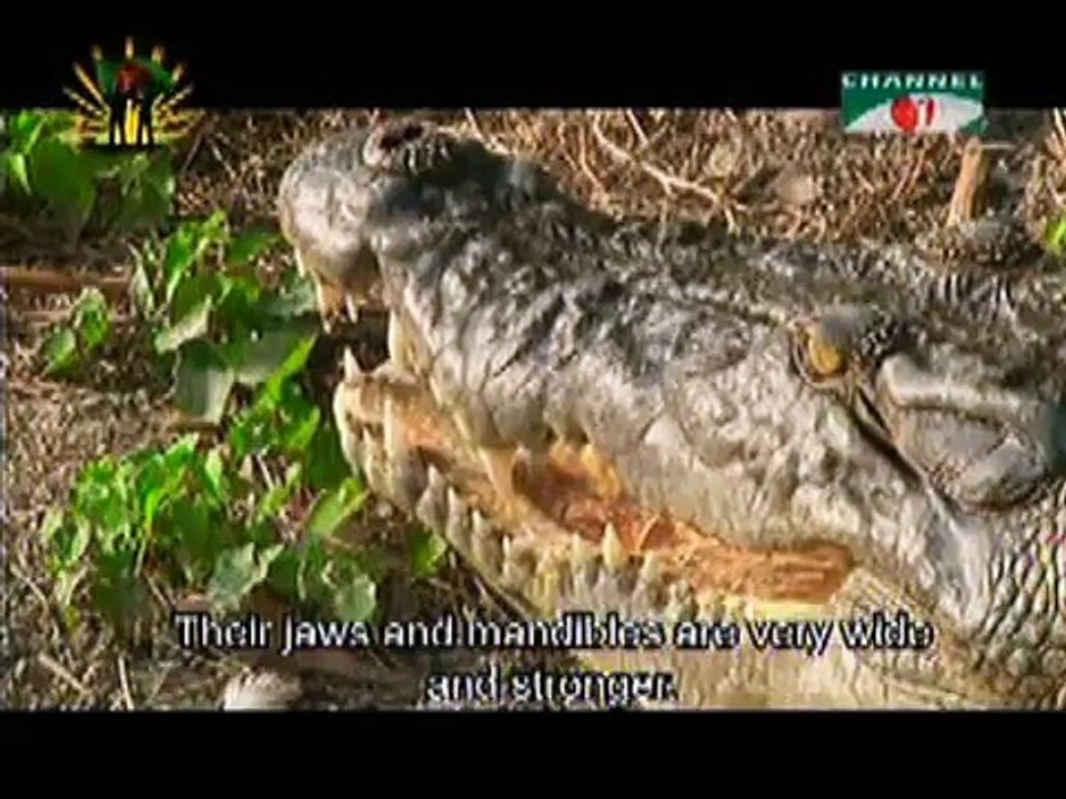 Channel-i, prokriti o jibon:  December 2010