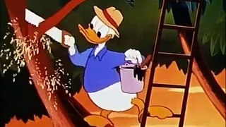 Donald duck cartoon 2014 in urdu